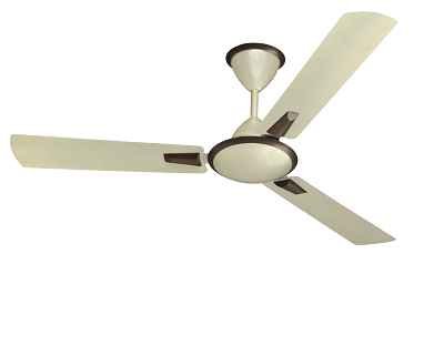 10fafea80880425d55c5c036eae405f4