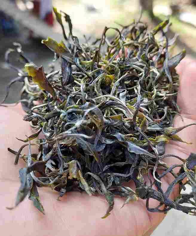 806f6817bed9337a8e9b2dbe38b63a77