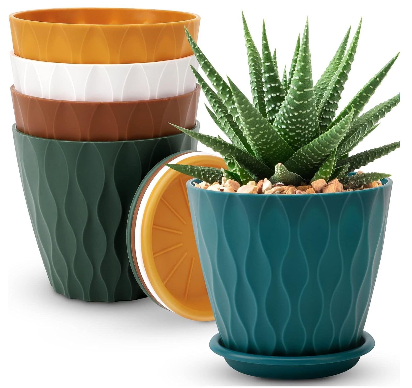 QMFtKDsIZnqJAxgUfH7OJZSZEBwoxpFocWlCMdra