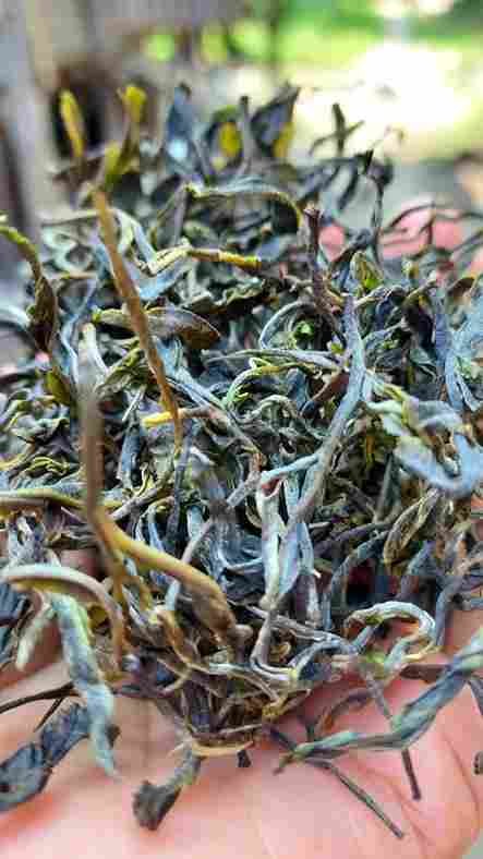 c0e34d2986d2210527187947262c9e49