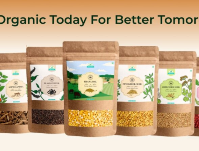 Untitled design - 2026-03-17T160551.799